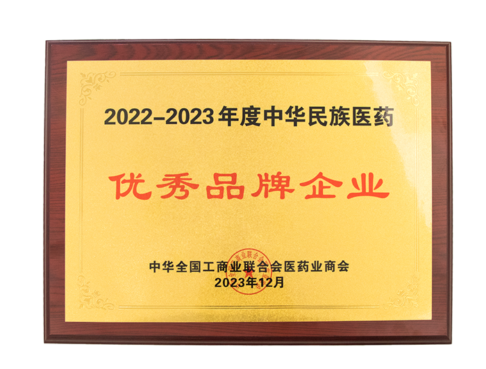1705472311270754.png 2022-2023年度 中華民族醫藥優秀民族品牌企業.png