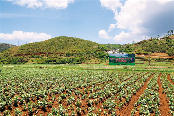 1733895468643175.jpg 圖片3.jpg