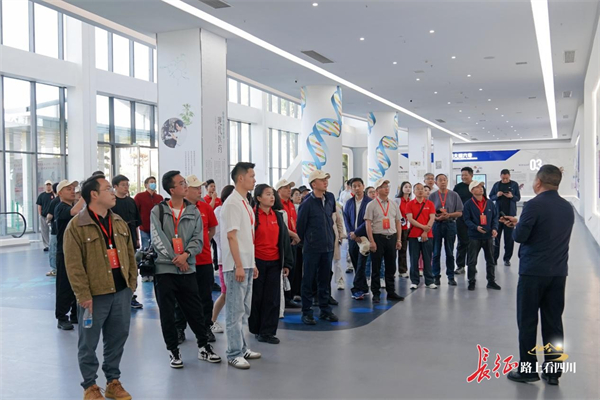 1745200494349052.jpg 圖片2.jpg