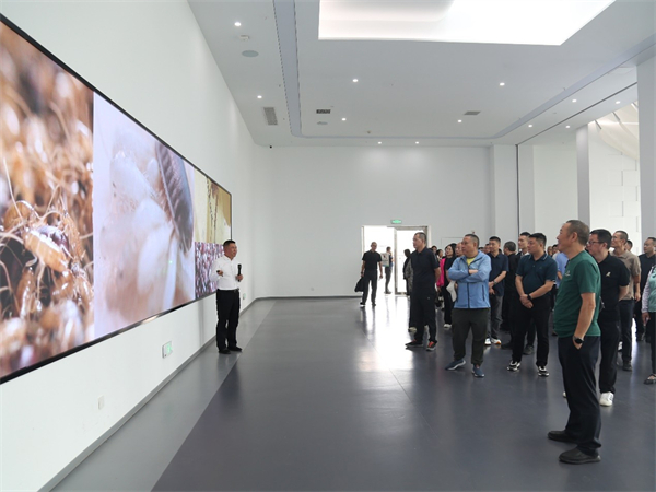 1758788076399548.jpg 圖片2.jpg